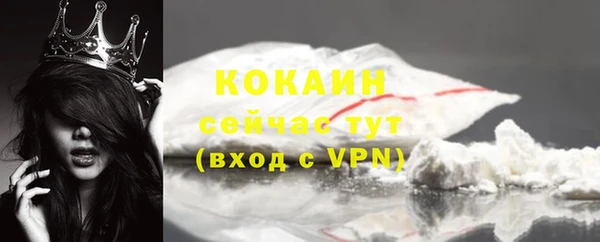 mix Богородицк