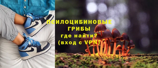 мяу мяу мука Гусиноозёрск